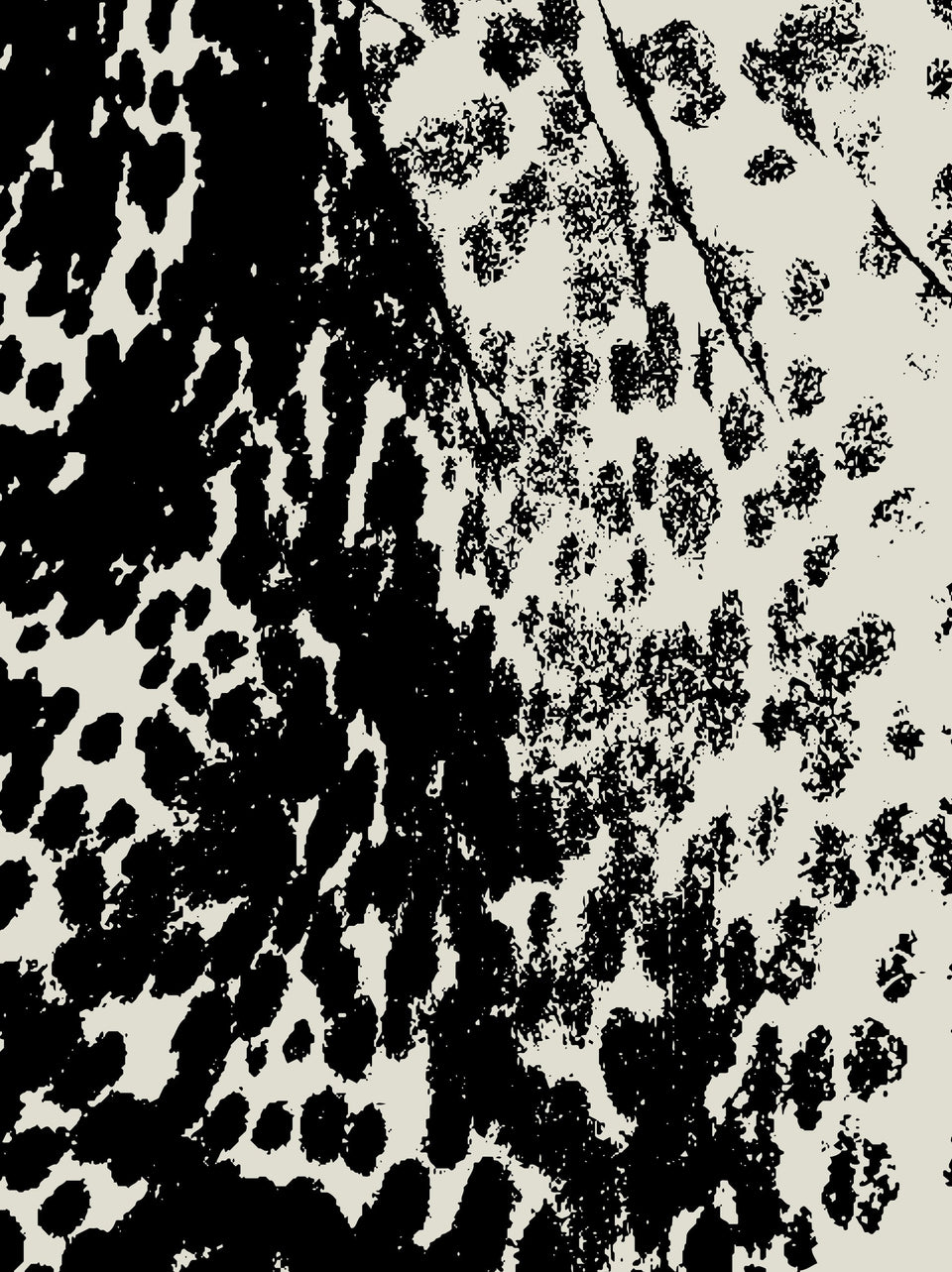 graphic taken from the mottled, spotted markings on an Asian elephants ear. Black and stone colour