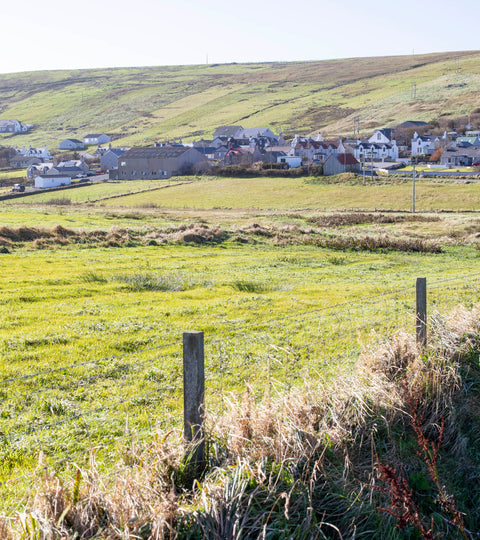 Pottering around Hoswick