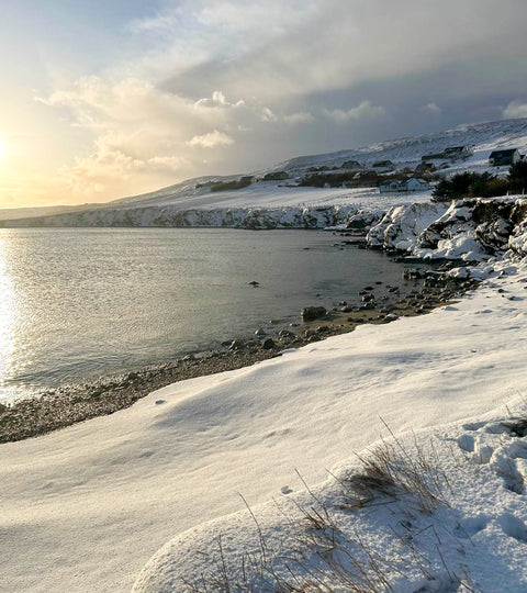 Snow drifts on the shore at Hoswick, Shetland. The bay curves around with winter sun glimmering on the sea