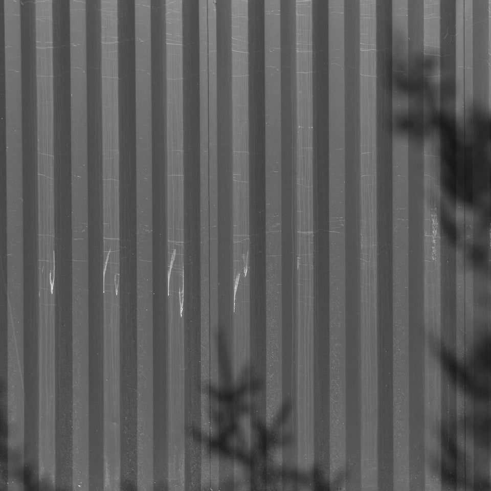 black and white photograph of the ridges of a shipping container, with shadows of pine trees