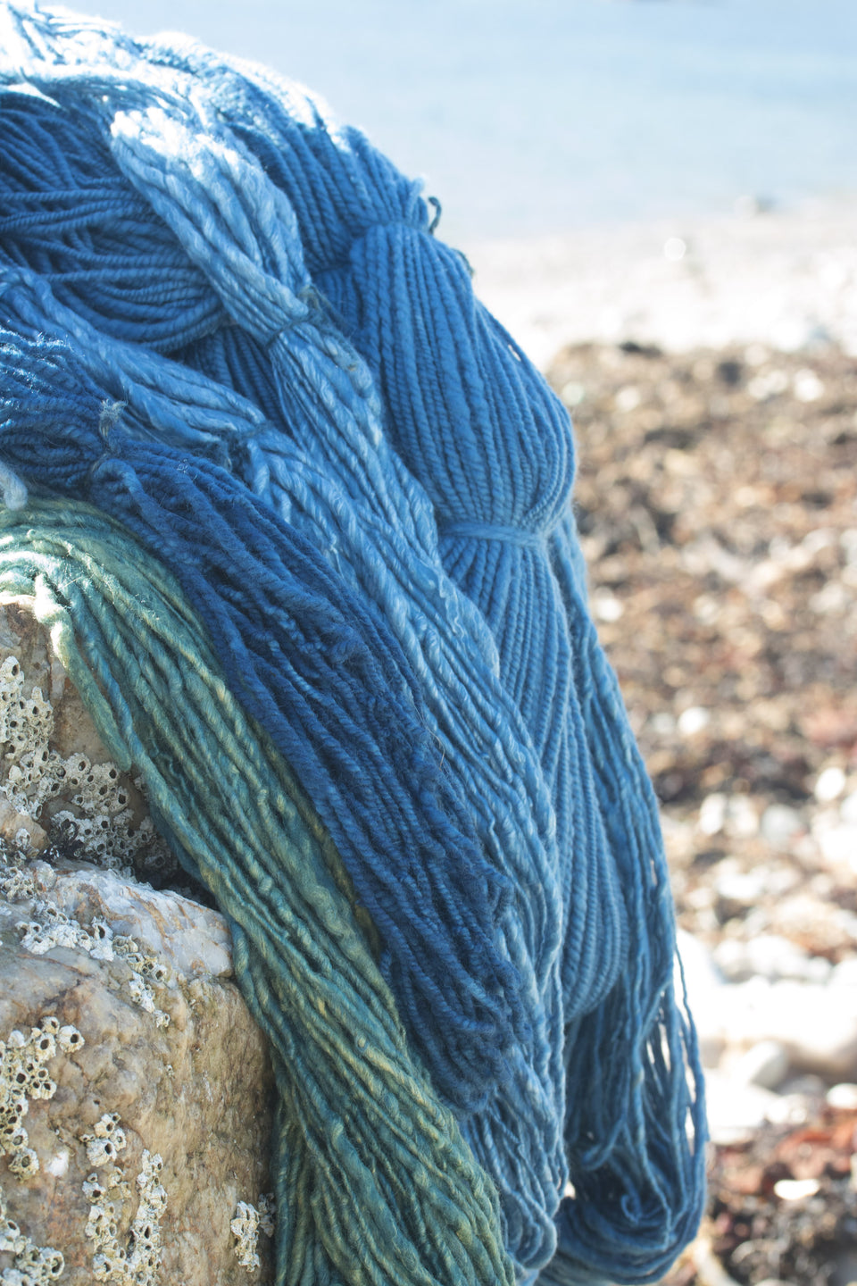 group of indigo-dyed hand-spun yarn on the shore at Hoswick, Shetland. Sea in the background